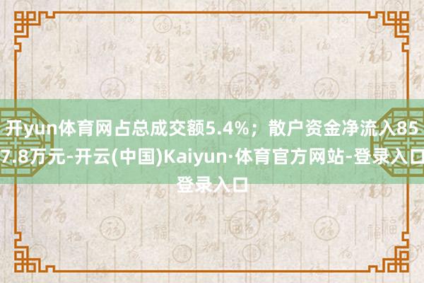 开yun体育网占总成交额5.4%；散户资金净流入857.8万元-开云(中国)Kaiyun·体育官方网站-登录入口