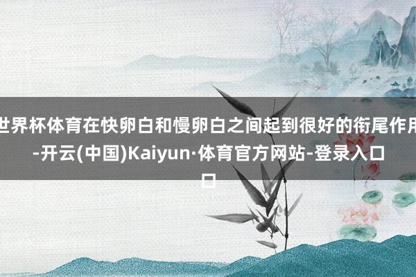 世界杯体育在快卵白和慢卵白之间起到很好的衔尾作用-开云(中国)Kaiyun·体育官方网站-登录入口