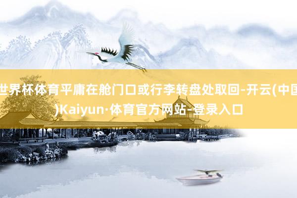 世界杯体育平庸在舱门口或行李转盘处取回-开云(中国)Kaiyun·体育官方网站-登录入口